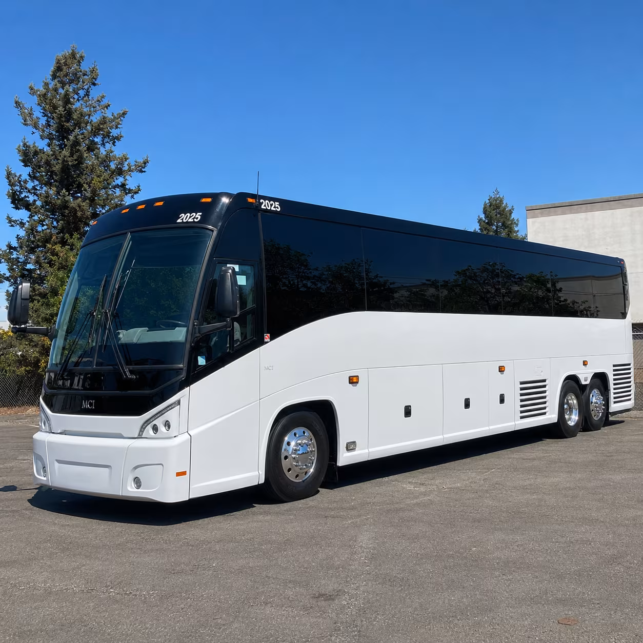 cruise shuttle buses to the port of galveston